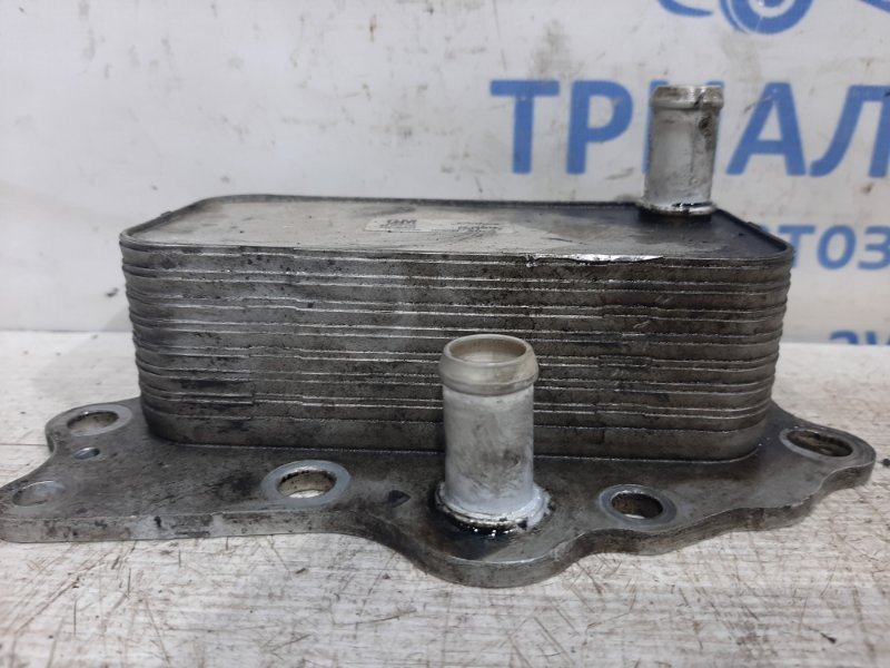 Радиатор масляный ДВС (теплообменник) Chevrolet Captiva C140 2.2 ДИЗЕЛЬ 2006 (б/у) Киев - изображение 2