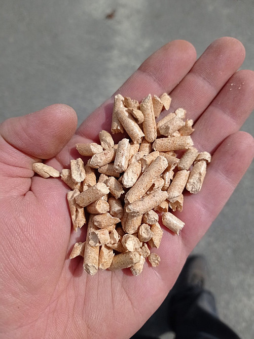 Наповнювач органічний для тварин від виробника -гранула деревини Київ - зображення 5