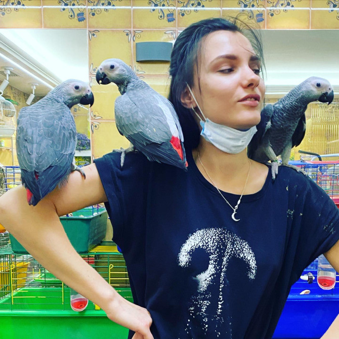 Ручной попугай Сёма - серый африканский жако, вольеры для попугаев Киев - изображение 1