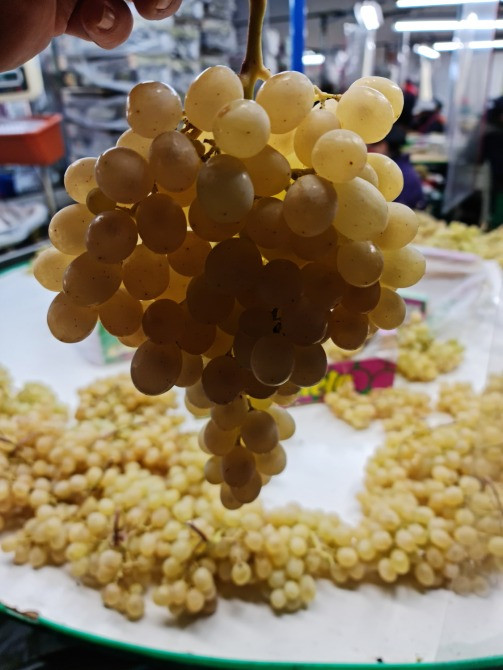 Продаем виноград Киев - изображение 3
