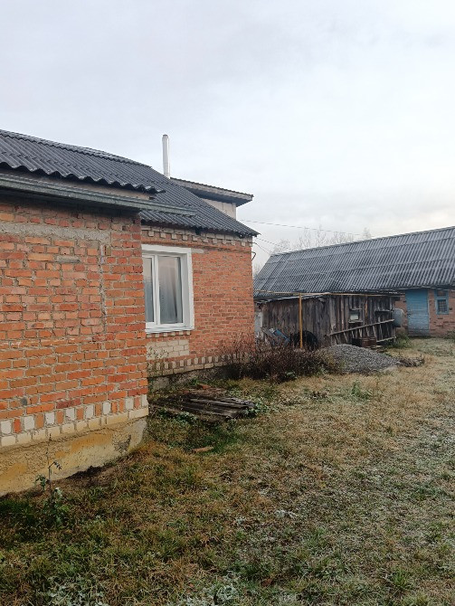 Продаж ч/б с. Садки Житомирської обл. Житомир - зображення 9