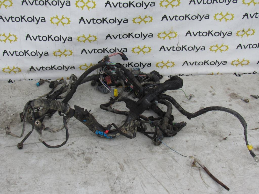 Проводка двигателя Citroen Berlingo 1.6 HDI 2008-2012 Ковель - изображение 1