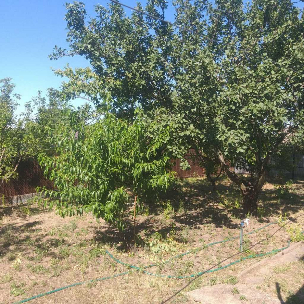 продажа 2-к дача Запорожье, Днепровский, 4000 евро Запорожье - изображение 8