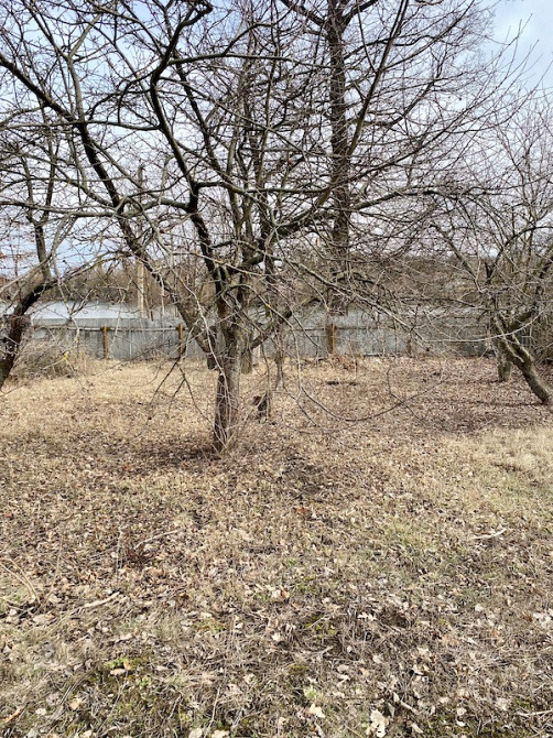 Продам земельну ділянку сел. Шаровка Богодухівський район Богодухов - изображение 5