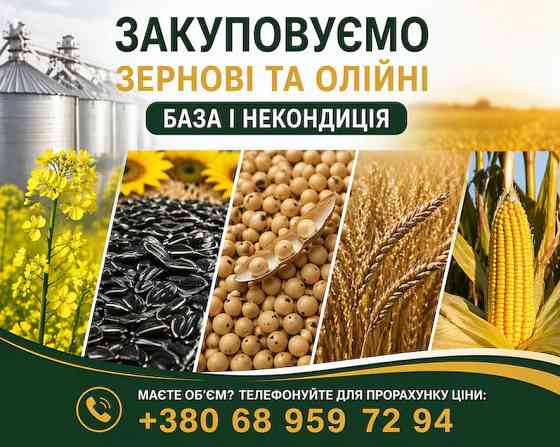 Закуповуємо сільськогосподарські культури (база та некондиція) Николаев