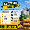 Купуємо зернові та олійні культури Київ