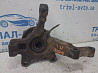 Кулак поворотный левый со ступицей Nissan Note 2005-2013 40015AX600 (Арт. 84623) Київ