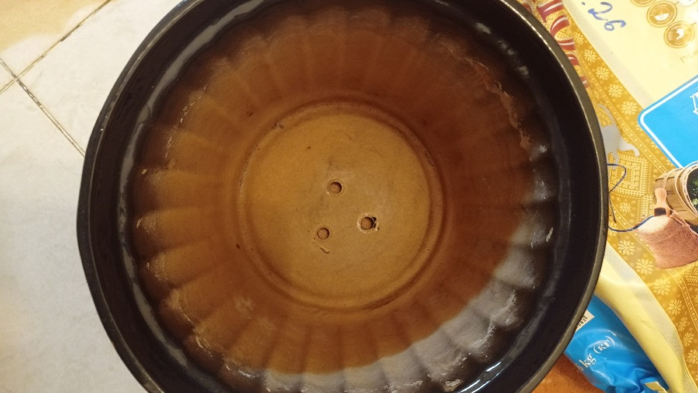 Горшок большой керамика в отличном состоянии Київ - зображення 4