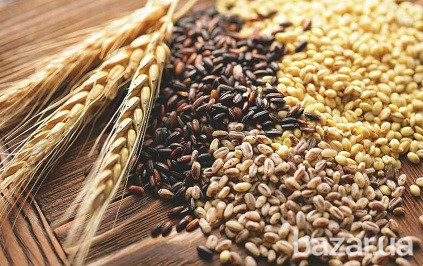 Постійно закуповуємо зерновідходи олійні, зернові, бобові! Дніпро - зображення 1