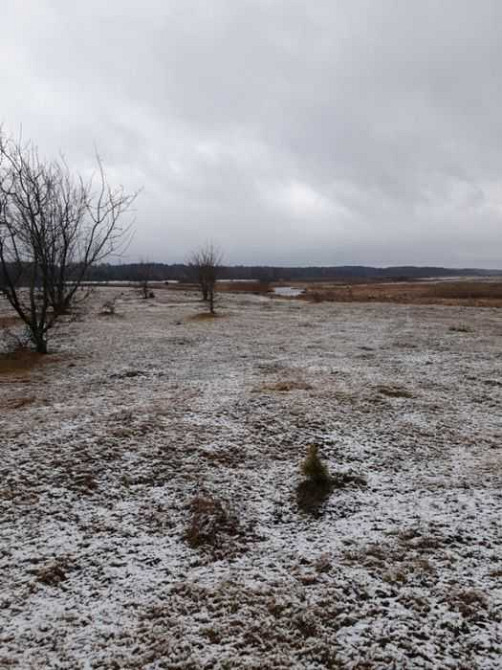 продаж ділянка під житлову забудову Ковельський, Ковель, 90000 грн. Ковель - изображение 4