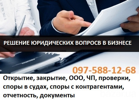 Хозяйственные споры: адвокат по хозяйственным делам Кривой Рог - изображение 6