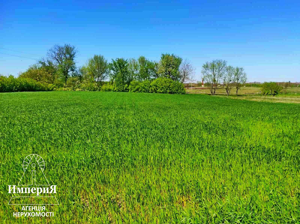 Продам дом с большим участком в Малой Сквирке. Біла Церква - зображення 9