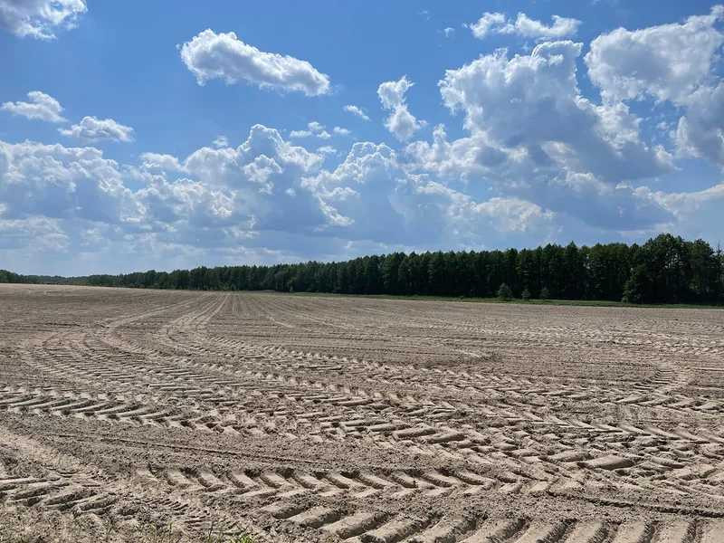 продажа земля сельскохозяйственного назначения Макаровский, Марьяновка, 105000 грн.  - зображення 3