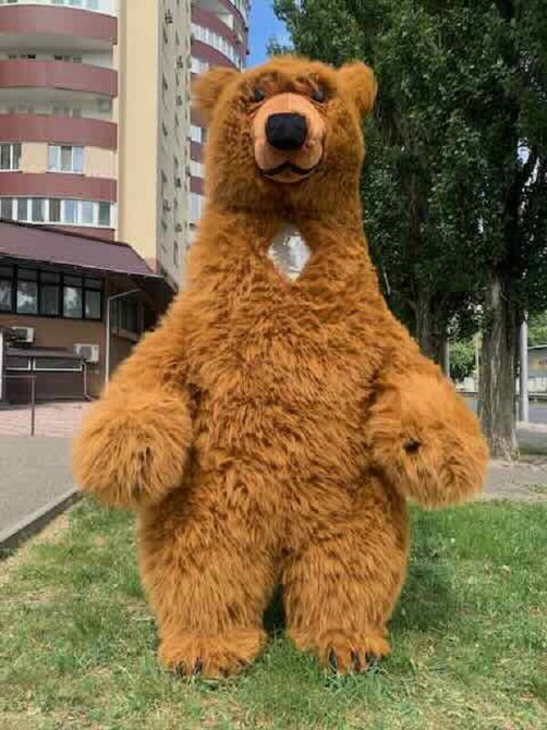 Ведмідь костюм Київ - зображення 5