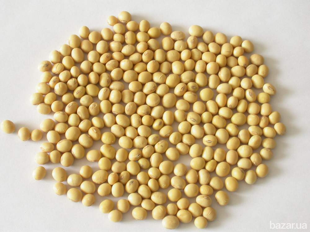 Куплю сою на переробку Житомир - зображення 1