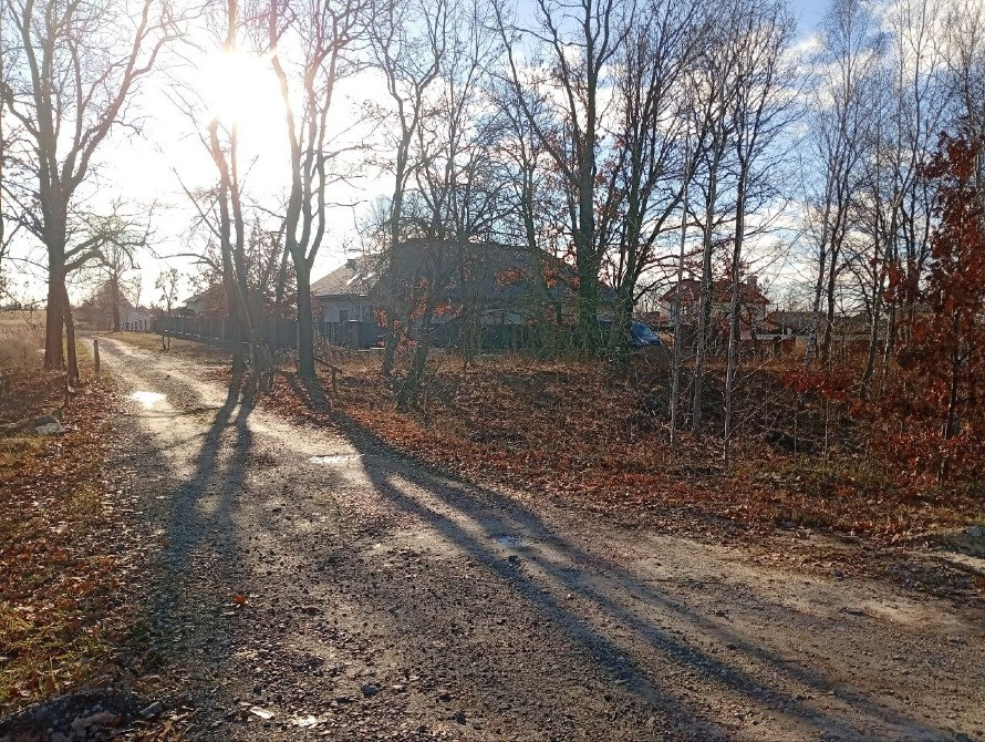 Княжичі. Продам фасадну ділянку 84сот Бровары - изображение 5