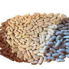 Квасоля на посів. Гарантований збут врожаю Луцк - изображение 1