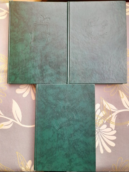 А. Волков Волшебник Изумрудного города Комплект рисунки Владимирского Сказки фантастика Запорожье - изображение 1