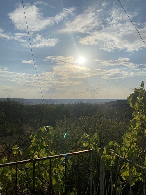 Продам дачу 6 сот, 5 кімнат, Христиновка (Хоминка) Одеська область Одеса - зображення 5