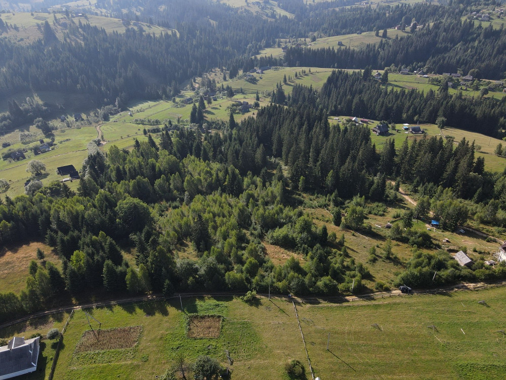 Земельна ділянка у селі Яблуниця 1.19 га Яремче - зображення 6