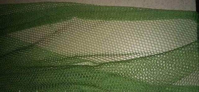 Паук-малявочник Чернівці - зображення 1