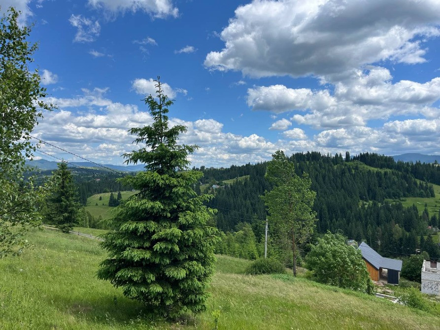 Земельна ділянка в Яблуниці (Буковель) 0.10 га Яремче - зображення 4