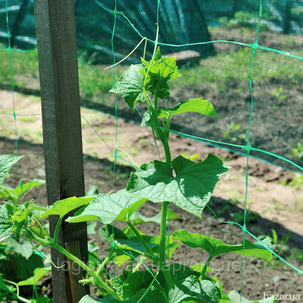 Укрытие от солнца для растений Shadow BIG 60%|160х120|6м Харків - зображення 7