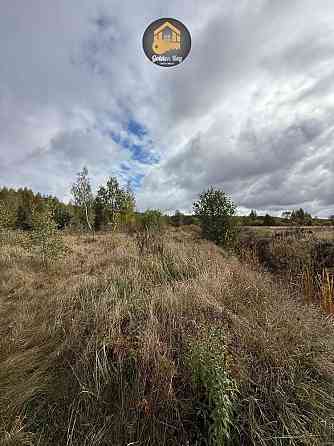 продажа земля сельскохозяйственного назначения Вышгородский, Ровы, 35000 $ 