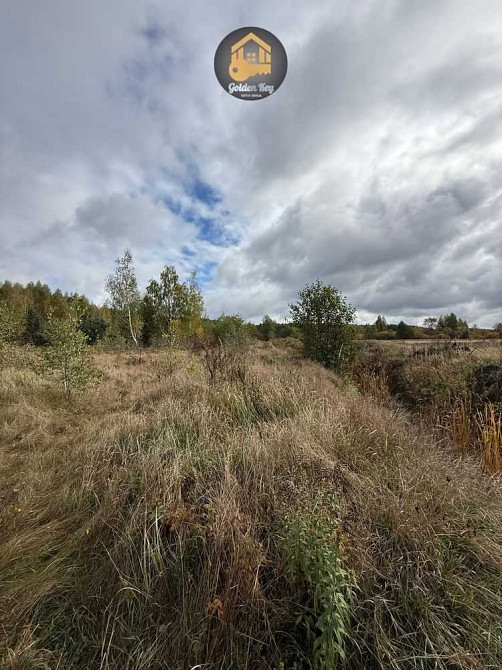 продажа земля сельскохозяйственного назначения Вышгородский, Ровы, 35000 $  - зображення 4