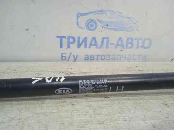 Амортизатор крышки багажника Kia Sorento 2009-2014 817702P000 (Арт. 22935) Київ