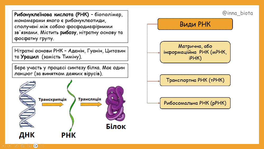 Репетитор біології з вищою біологічною освітою (онлайн та офлайн), Голосіївський район Київ - зображення 3