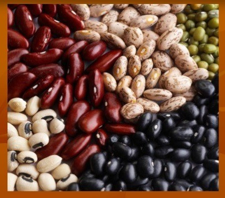 Продаж квасолі по Україні та на експорт Николаев - изображение 1