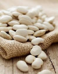 Продаємо насіння квасолі різних сортів Вінниця - зображення 1