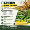 Насіння озимих культур. Еліта та Перша репродукція Одеса