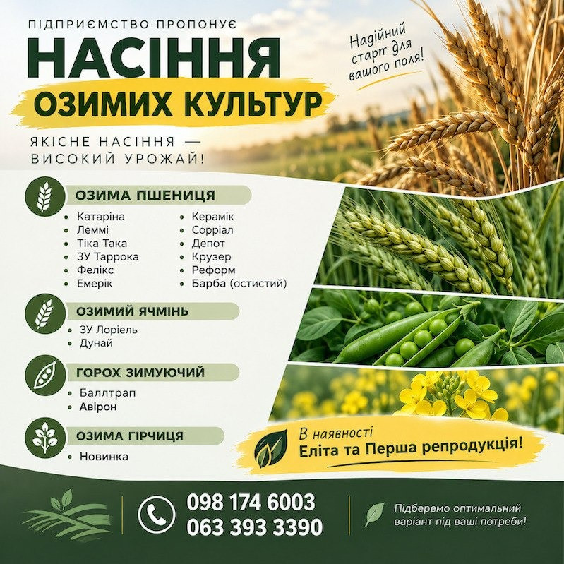 Насіння озимих культур. Еліта та Перша репродукція Одесса - изображение 1