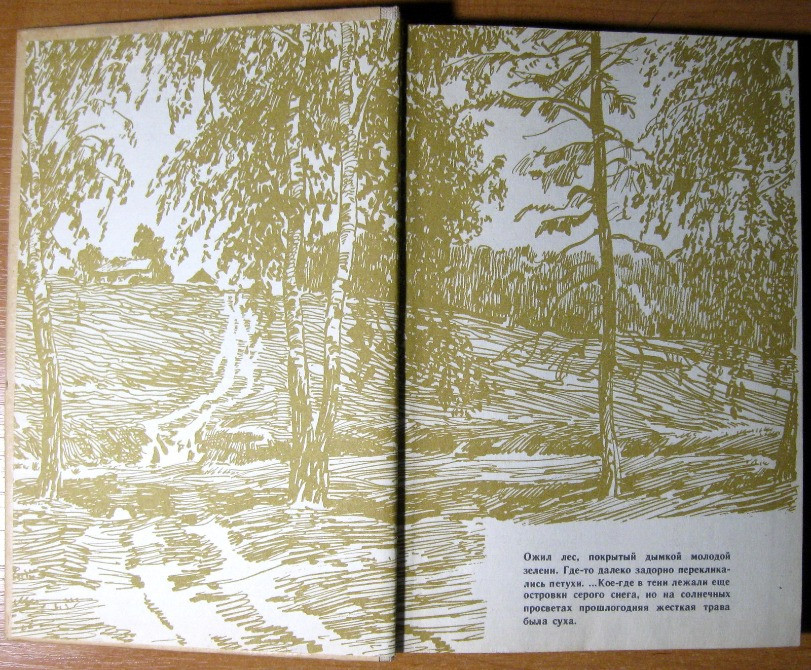 Избранное. Аркадий Гайдар Богодухів - зображення 4