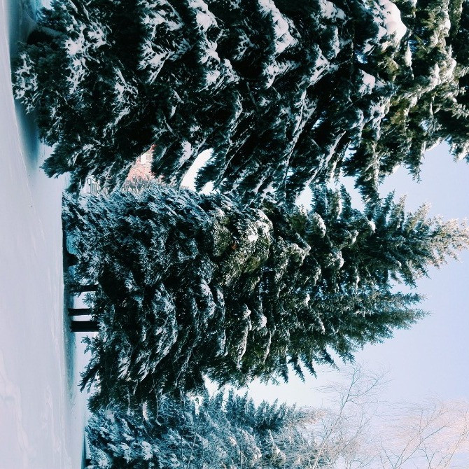 Продам комерційне приміщення в Малиновському р-н, вул. Новомосковська дорога. Одеса - зображення 1