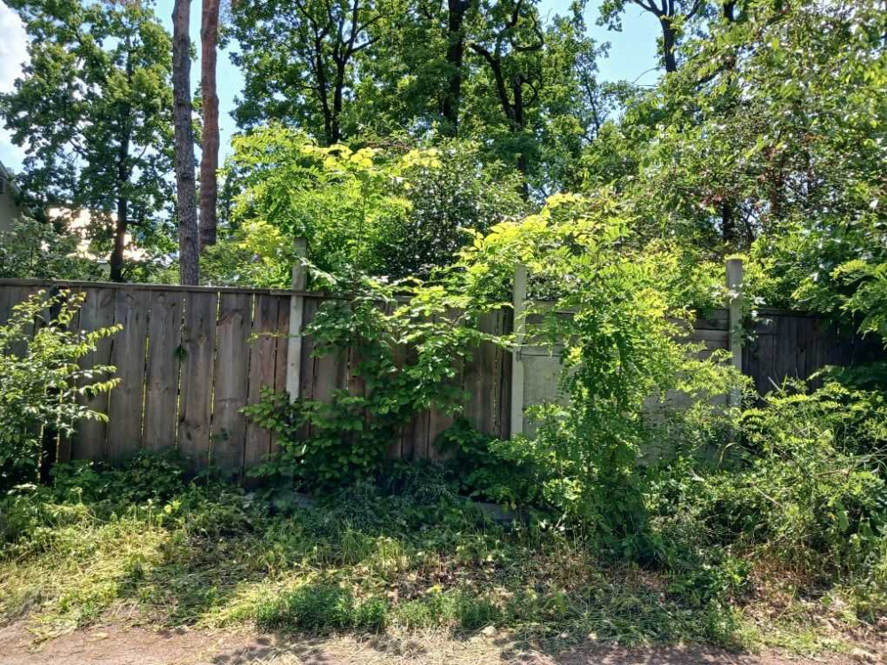 продажа участок под жилую застройку Киево-Святошинский, Ирпень, 94000 $ Ирпень - изображение 5