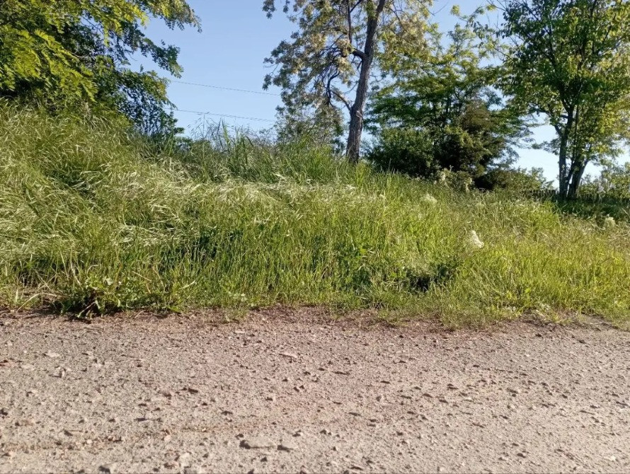 свободный участок в светлом Одесса - изображение 3