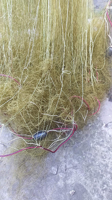 Продам риболовну сітку Фастів - зображення 3