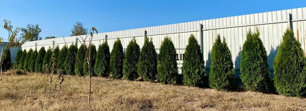 БЕЗ КОМІСІЇ! Продаж будинку 250 м2, 25 сотки, с. Здвижівка, Бучанський р-н, 35 км від Києва. № 22117 Киев - изображение 7