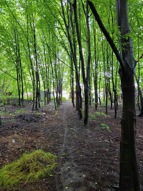 продажа земля коммерческого назначения Киев, Голосеевский, 399700 $ Київ - зображення 8