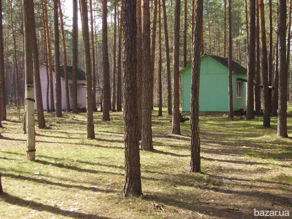 ПРОДАМ БАЗУ ОТДЫХА ПИРНОВО!!! Київ - зображення 4