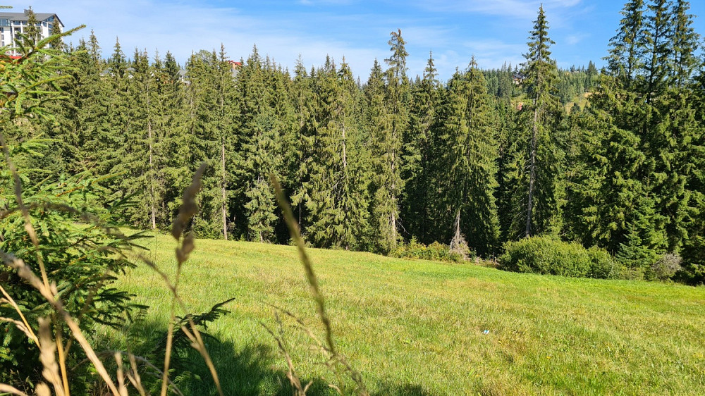 Земельна ділянка у селі Яблуниця - 0,83 га Яремче - изображение 8