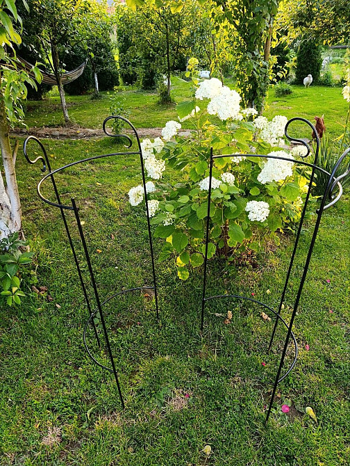 Металева опора для квітів Кований декор для саду Ручна робота Ивано-Франковск - изображение 2