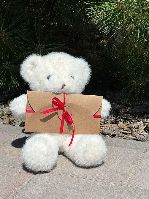 Плюшевий ведмедик з вашим голосом | Подарунок з аудіо-повідомленням (3 кольори) Львов - изображение 3