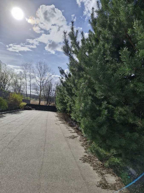 продажа участок под жилую застройку Обуховский, Романков, 120000 $  - изображение 1