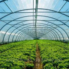 Пленка тепличная голубая|170мкм|60мес|3х50м Харьков - изображение 10