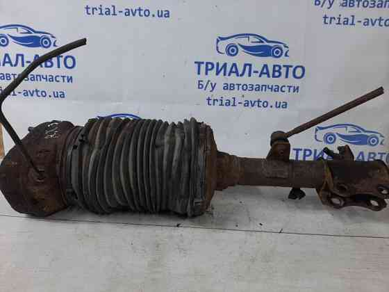 Амортизатор задний Lexus RX 350 XU30 3.5 БЕНЗИН 2GRFE 2003 лев. (б/у) Київ