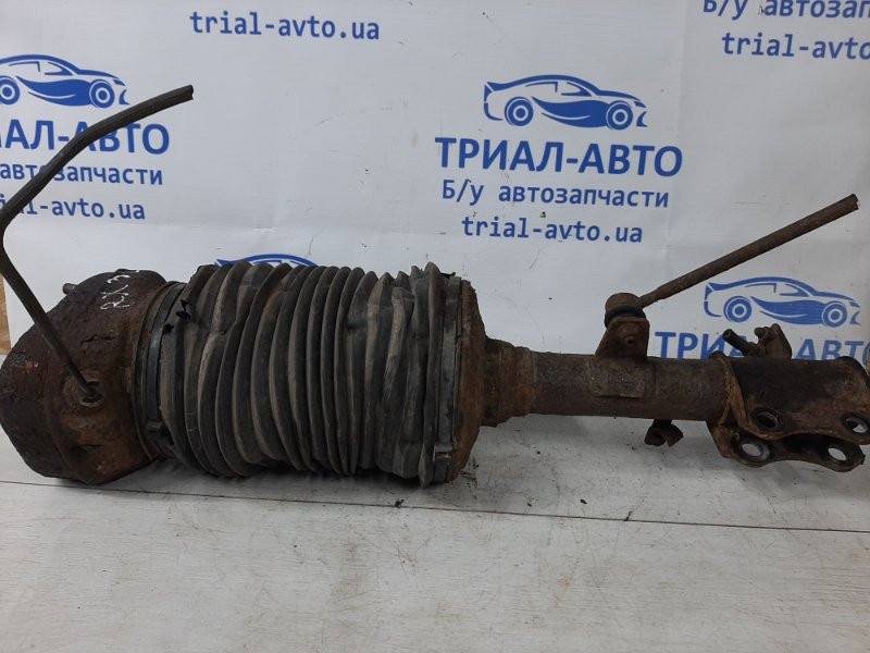 Амортизатор задний Lexus RX 350 XU30 3.5 БЕНЗИН 2GRFE 2003 лев. (б/у) Київ - зображення 1